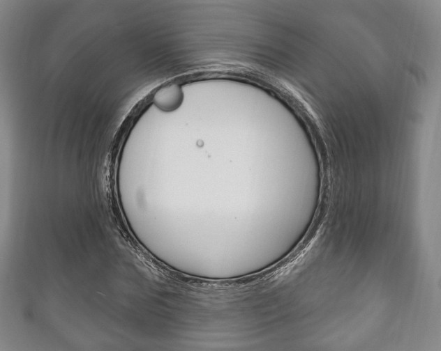 X0000111240875200907020957