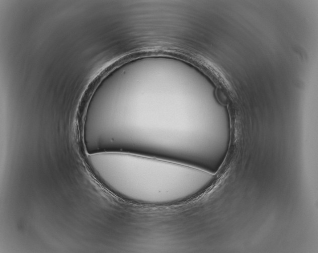 X0000111240876200907020957