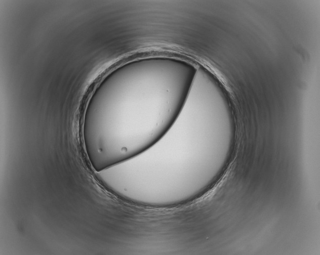 X0000111240877200907020957