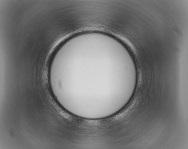 X0000111240878200907020956