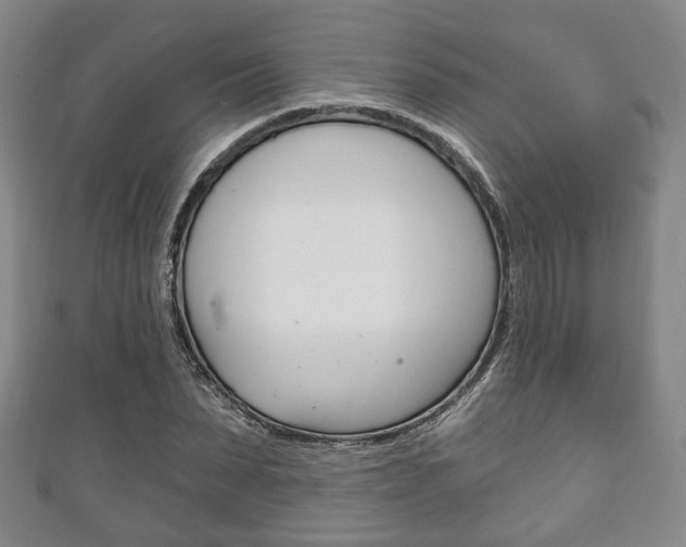 X0000111240879200907020956
