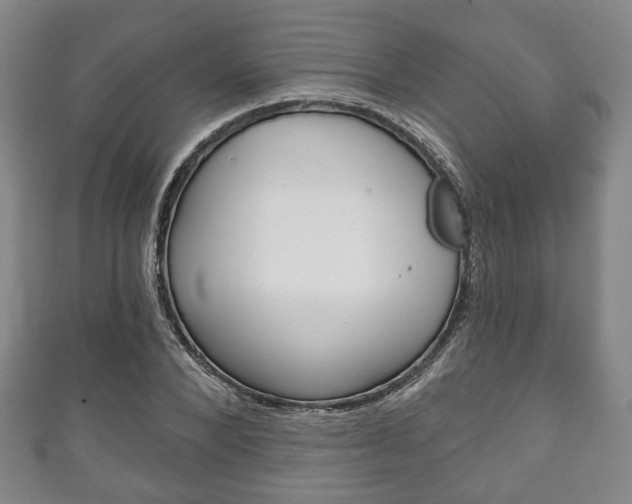 X0000111240880200907020956