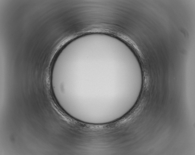X0000111240882200907020956