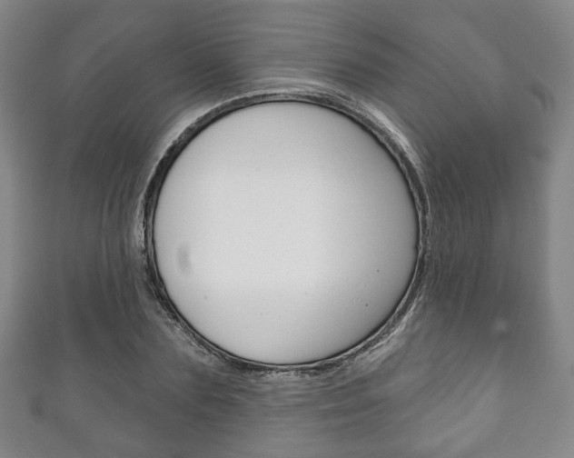 X0000111240883200907020956