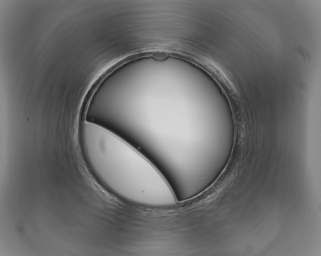 X0000111240884200907020956