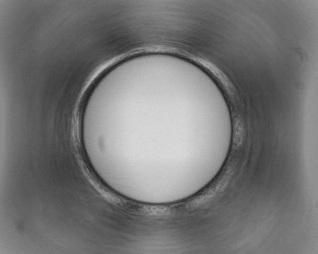 X0000111240886200907020956