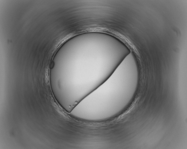X0000111240889200907020956