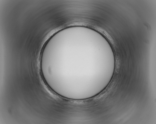 X0000111240890200907020956