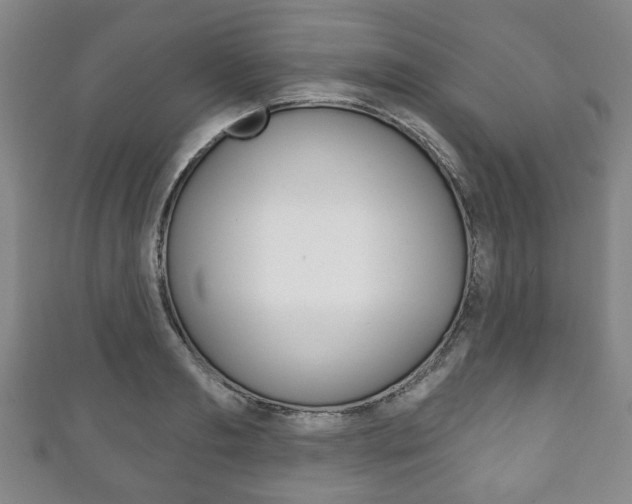 X0000111240893200907020956