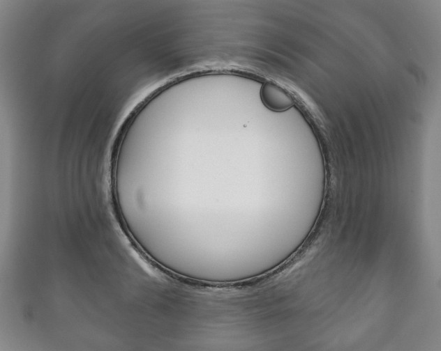 X0000111240894200907020956