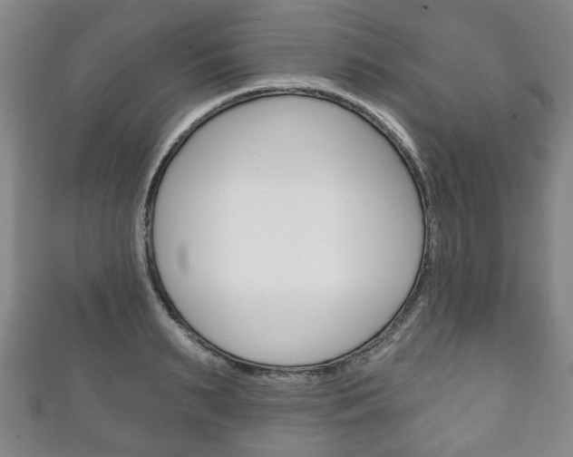X0000111240895200907020956
