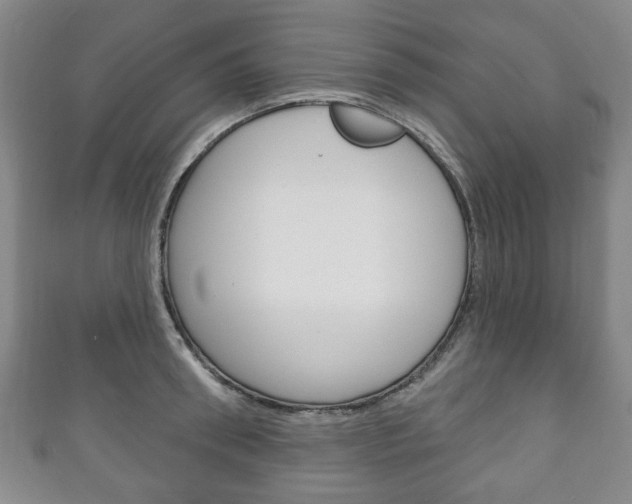 X0000111240898200907020956