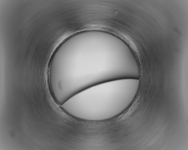 X0000111240899200907020956