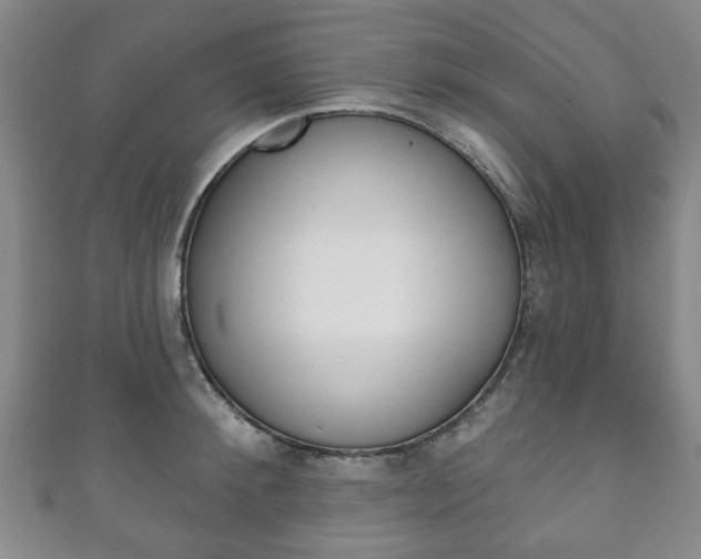X0000111240900200907020956