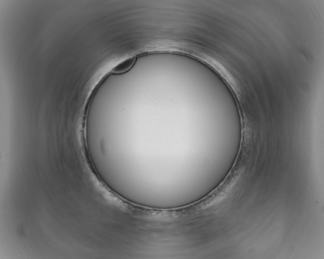 X0000111240901200907020956