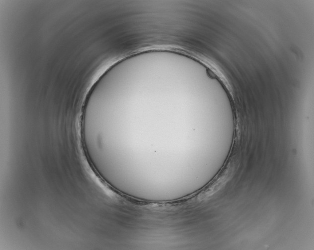 X0000111240906200907020956
