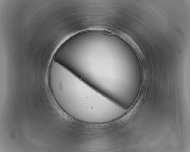 X0000111240908200907020956