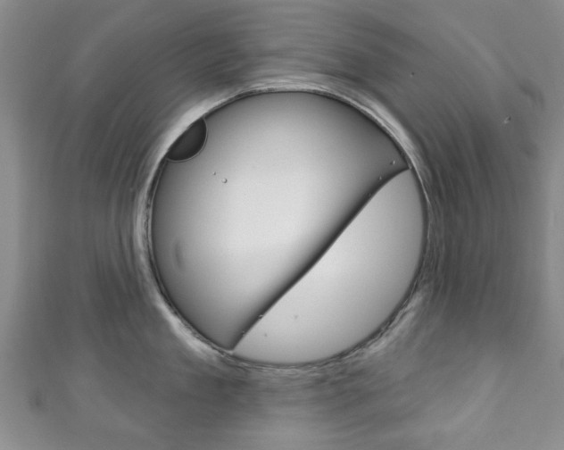 X0000111240909200907020956