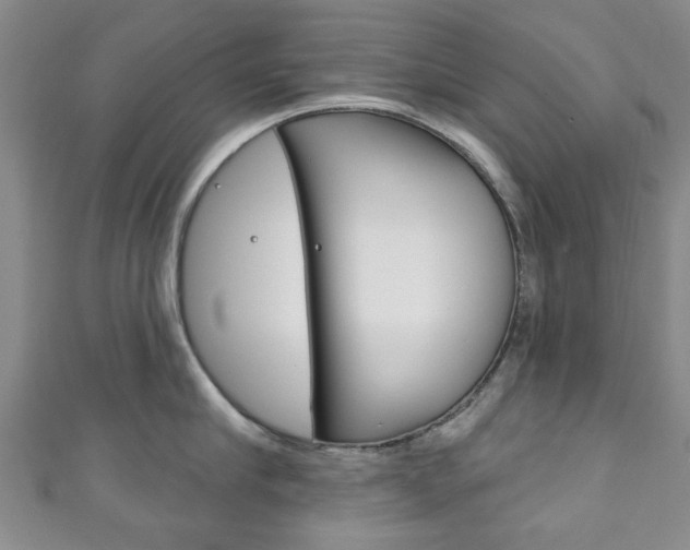 X0000111240910200907020956