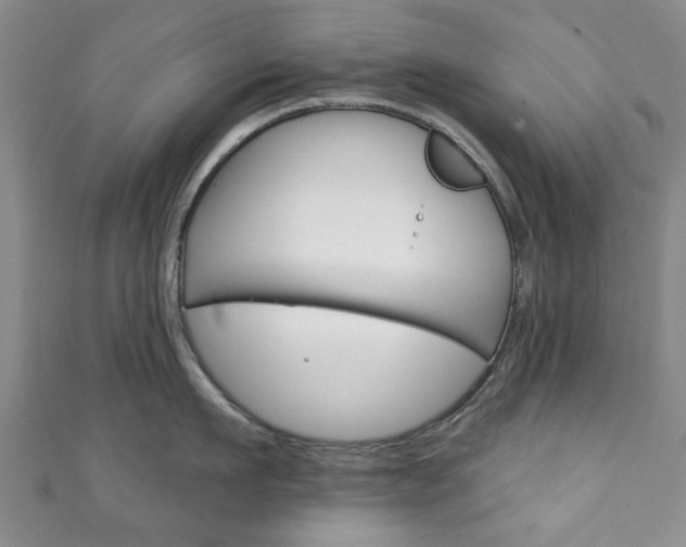 X0000111240911200907020956