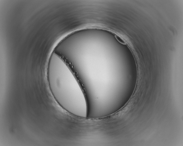 X0000111240912200907020956