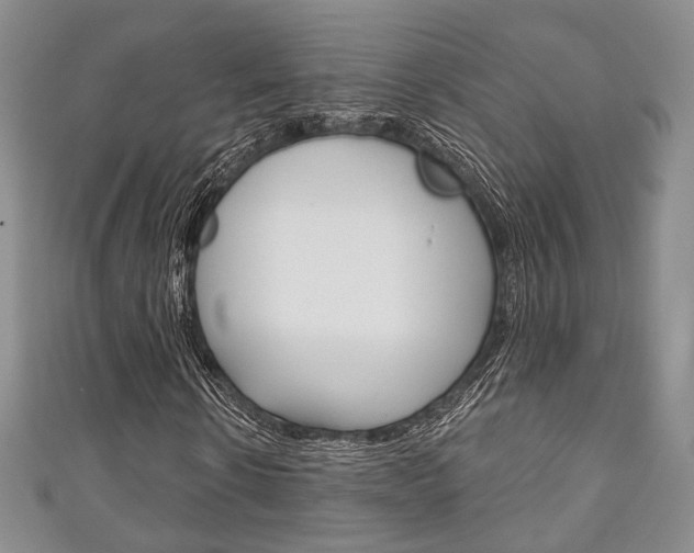 X0000111240914200907020955