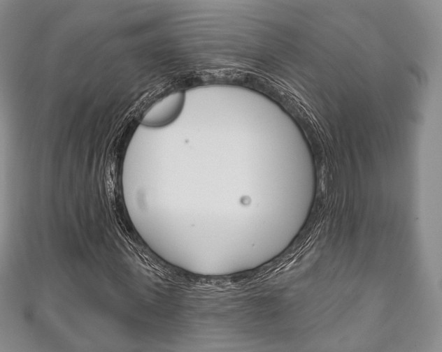 X0000111240915200907020955
