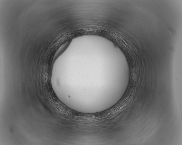 X0000111240916200907020955
