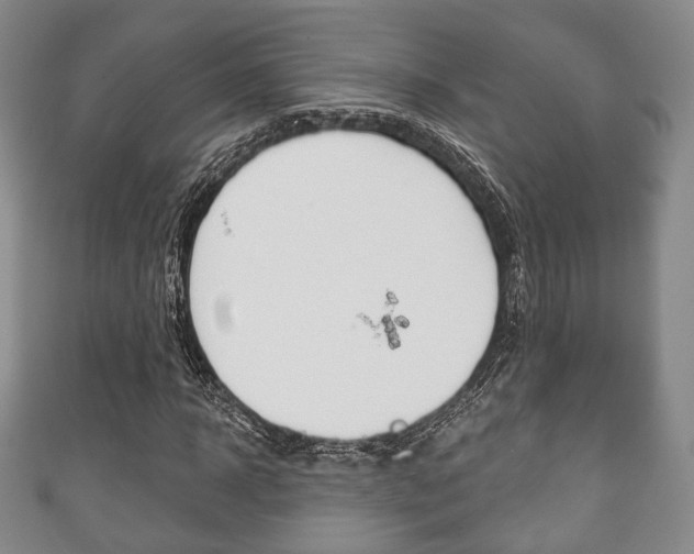 X0000111240918200907020956