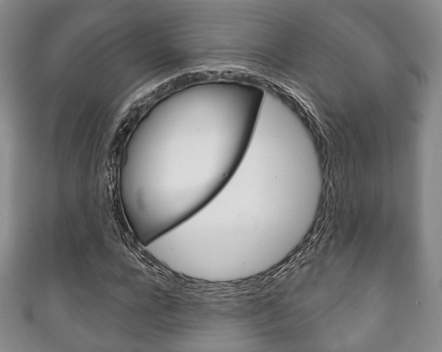 X0000111240920200907020956