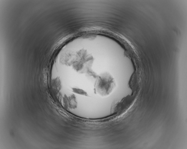 X0000111240921200907020956