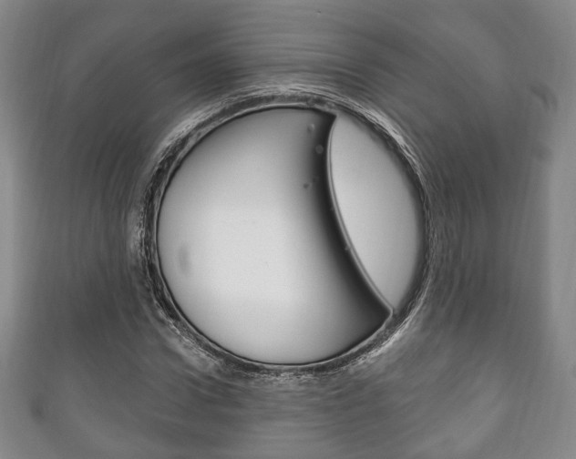 X0000111240922200907020956