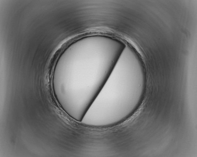 X0000111240923200907020956
