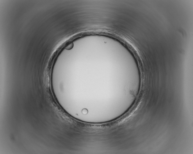 X0000111240925200907020956