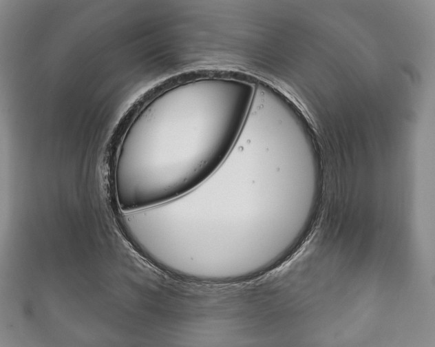 X0000111240926200907020956