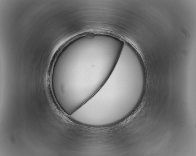 X0000111240928200907020956