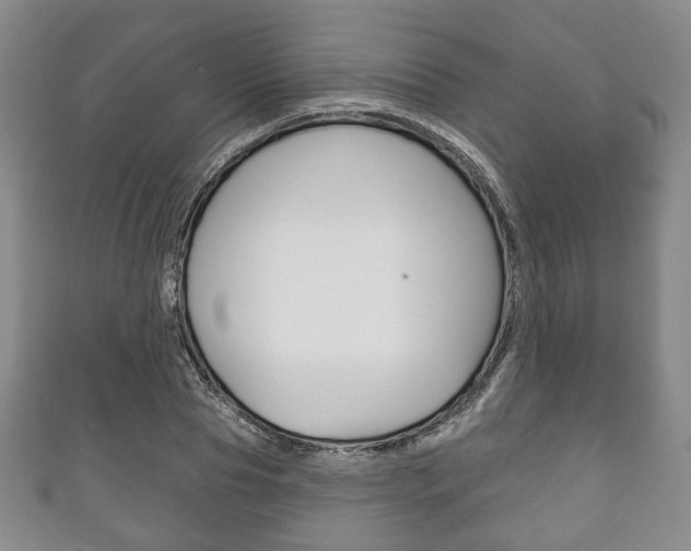 X0000111240929200907020956