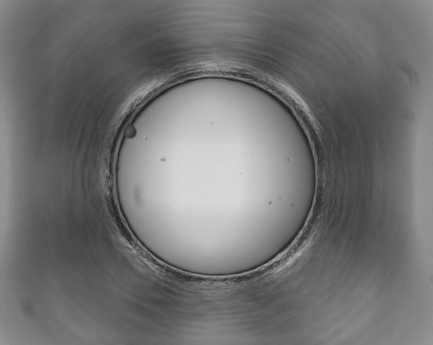 X0000111240930200907020956
