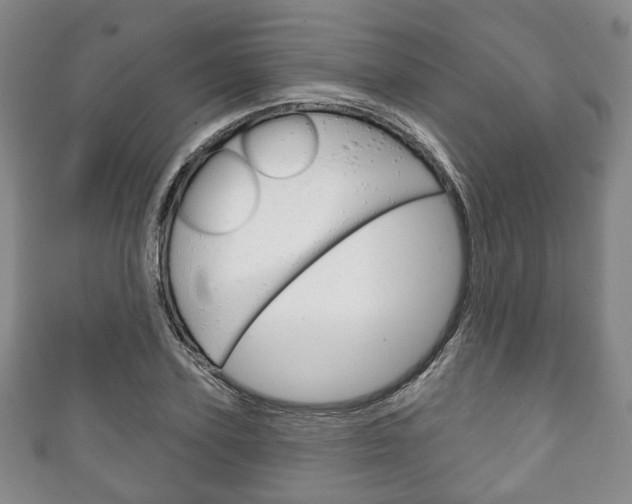 X0000111240931200907020956
