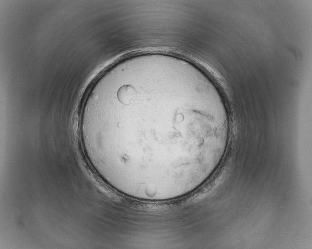 X0000111240933200907020956