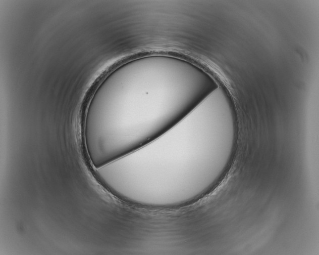 X0000111240934200907020956