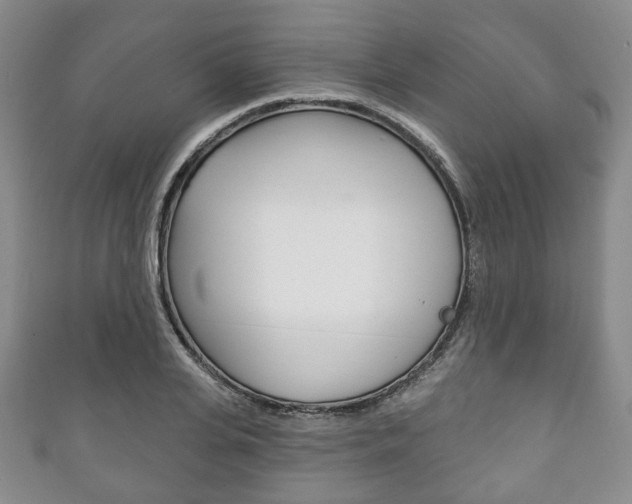 X0000111240935200907020956