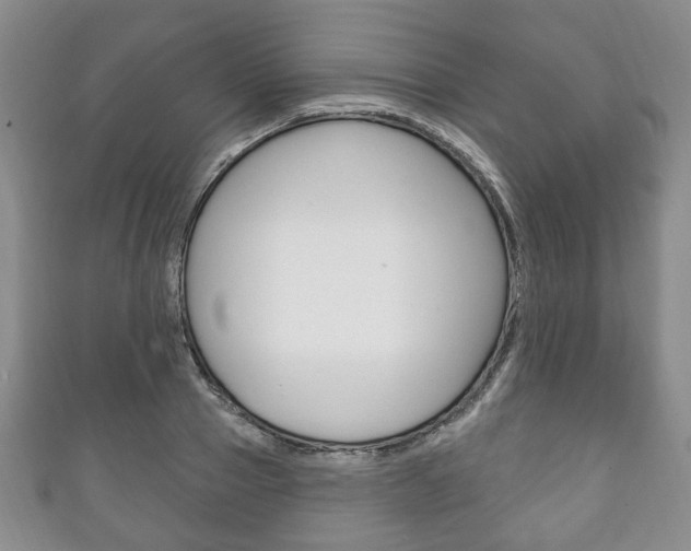 X0000111240937200907020956