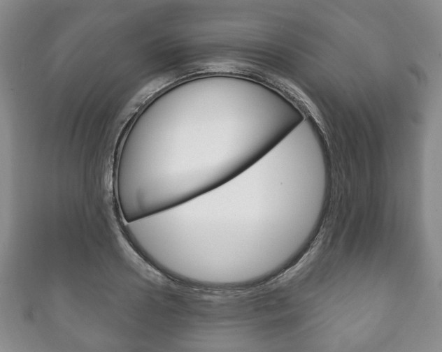 X0000111240938200907020956