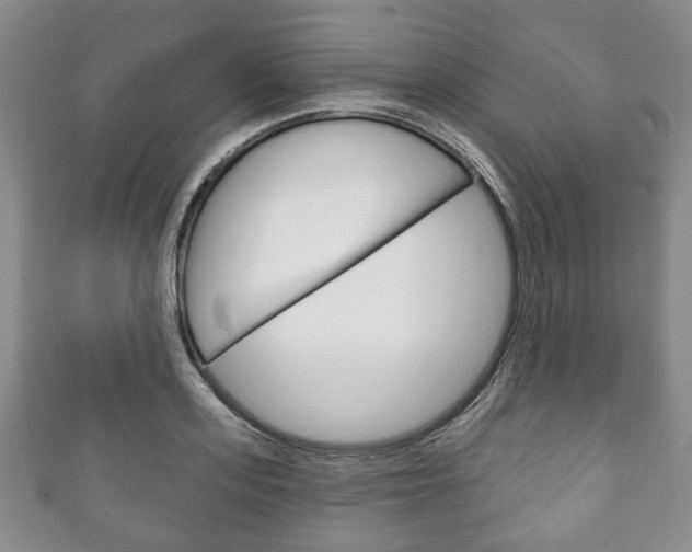 X0000111240939200907020956