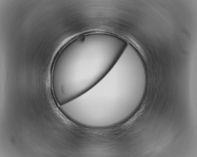 X0000111240940200907020956