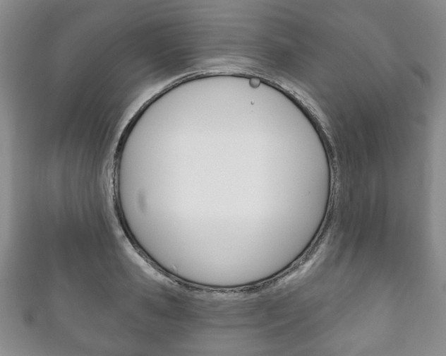 X0000111240941200907020956