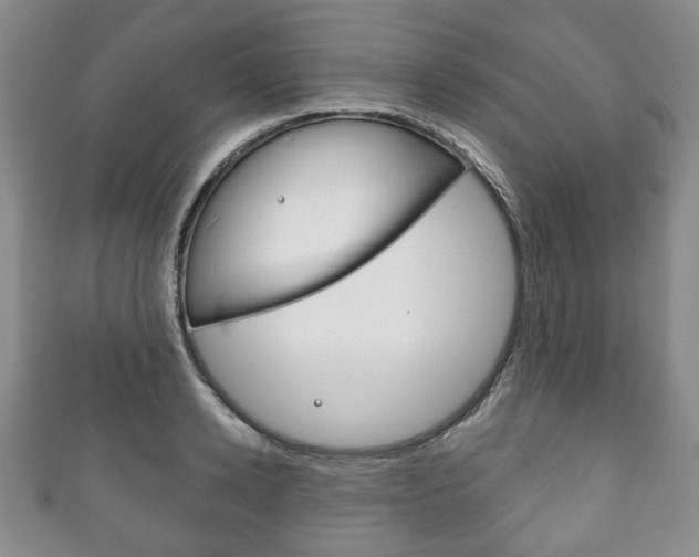 X0000111240942200907020956