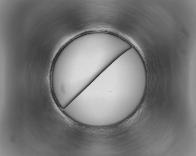 X0000111240943200907020956