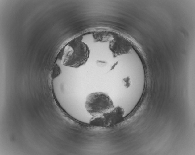 X0000111240945200907020956